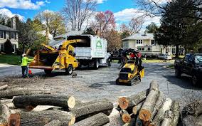 Reliable Fall Creek, WI Tree Care Services Solutions